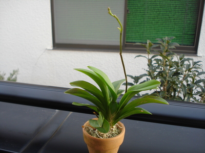 c0261240_16583344.jpg