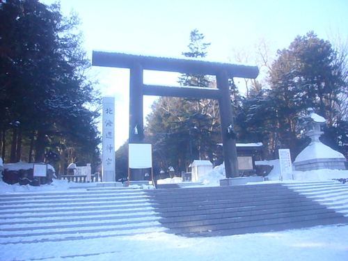 S・D-76 2013 通常営業開始!_a0196542_15265998.jpg