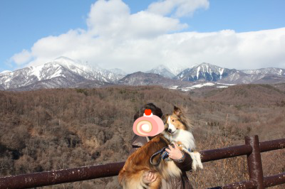 清里２日目・元旦早々あくび路上の猛犬に襲われる_e0195743_148050.png