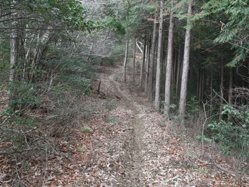 a0237349_2116777.jpg