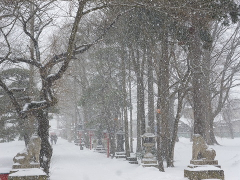 b0238249_20552540.jpg