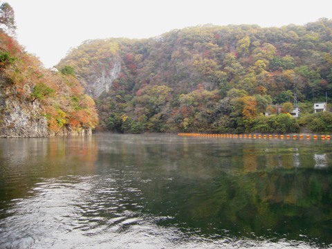 d0049152_21554814.jpg