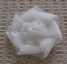 f0160353_1363314.png