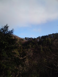 c0115560_1161687.jpg