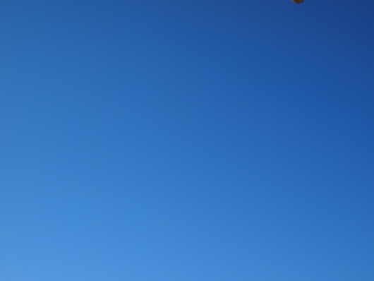f0216660_11381268.jpg