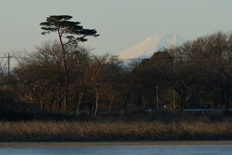 f0222161_2172027.jpg