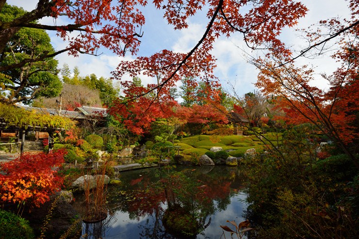 京都 退蔵院 ~紅葉~_f0222161_2334480.jpg