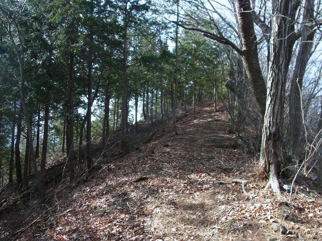 2012/12/23　高岩　焼室山　高取山　サイマル山_d0233770_139194.jpg