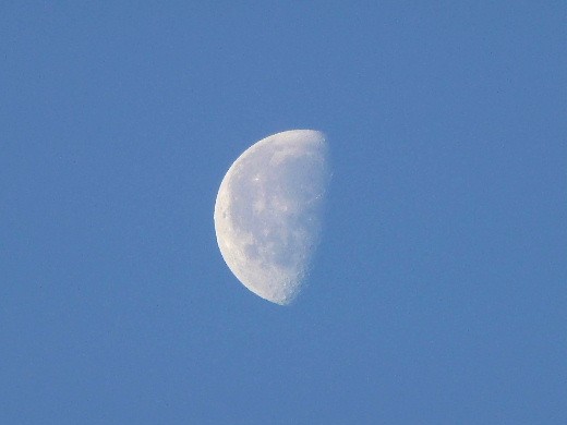 d0084473_7531736.jpg