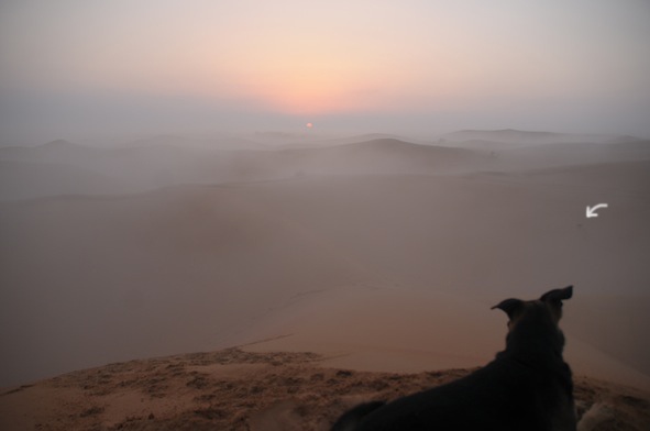 e0066474_2040123.jpg