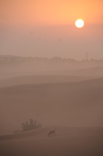 e0066474_20582650.jpg