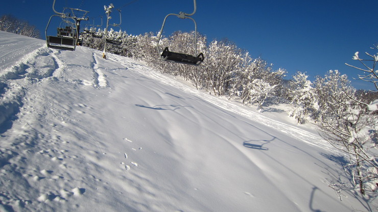 a0242984_1950381.jpg