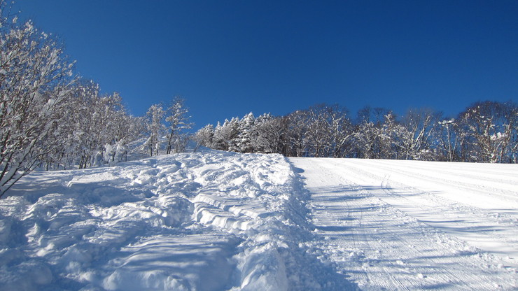 a0242984_19524340.jpg