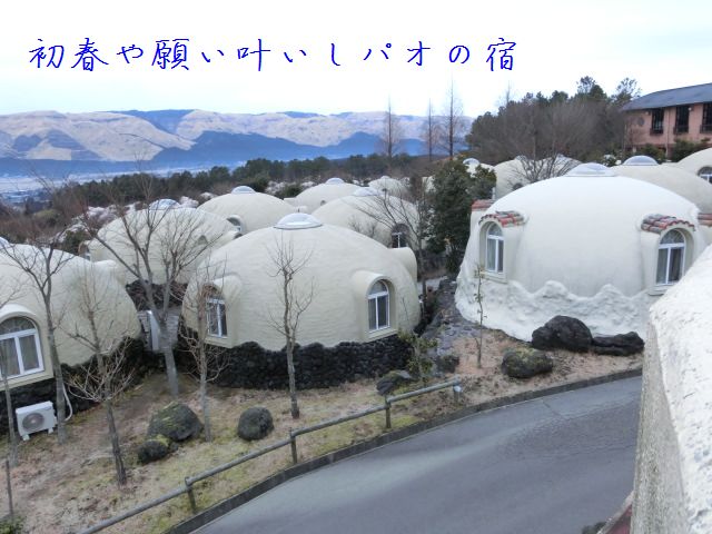 パオの宿 山野草に癒されて