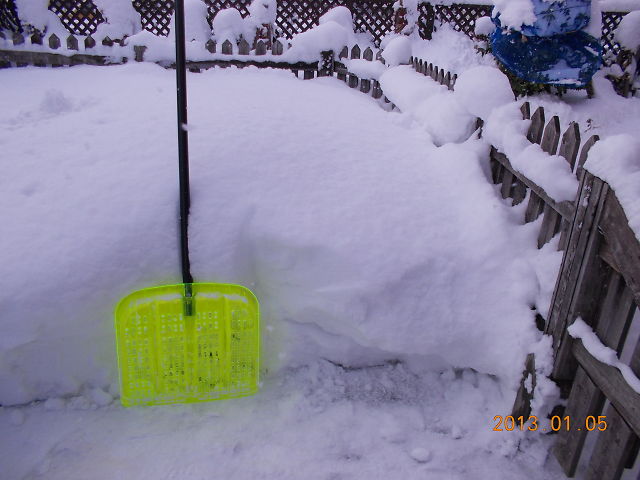 大雪の峠を越えたか？_a0007388_1161537.jpg