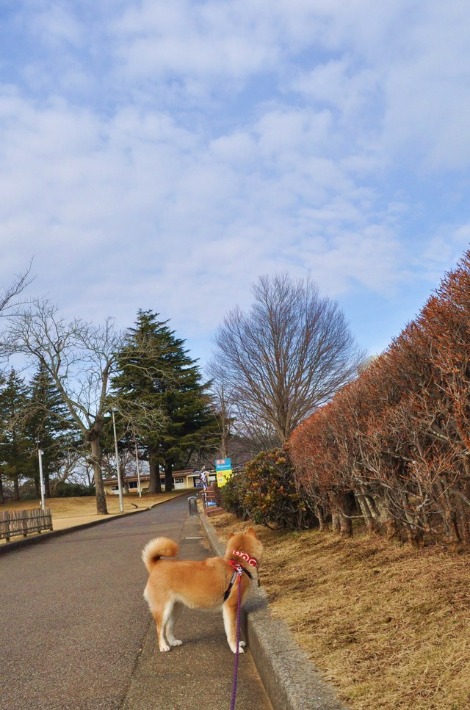 自然体_a0126590_22491961.jpg