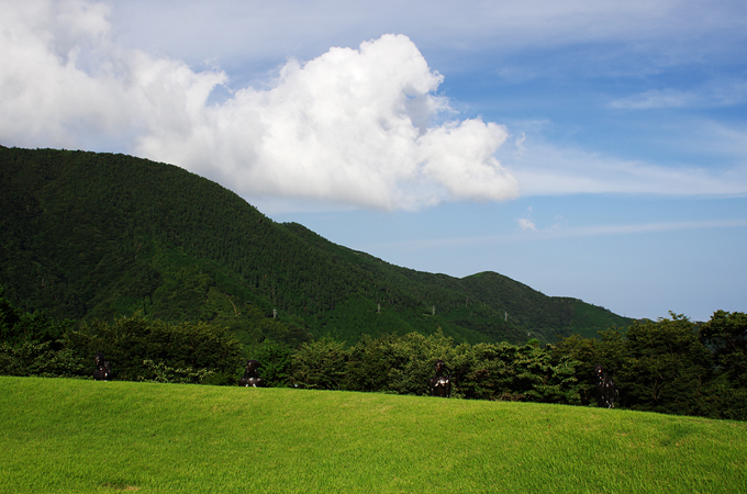 b0159790_021983.jpg