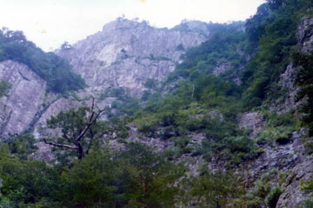 e0304295_1642833.jpg