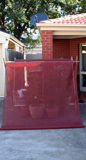 c0053898_9567100.jpg