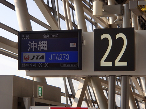 1/2-5 ハンマー&海底遺跡☆ 与那国ツアー(*・∀・)ノ_e0115199_22265439.jpg