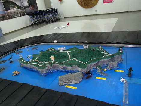 1/2-5 ハンマー&海底遺跡☆ 与那国ツアー(*・∀・)ノ_e0115199_2246093.jpg