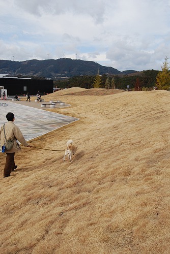 かえり：はじめての新東名_c0124100_23195637.jpg