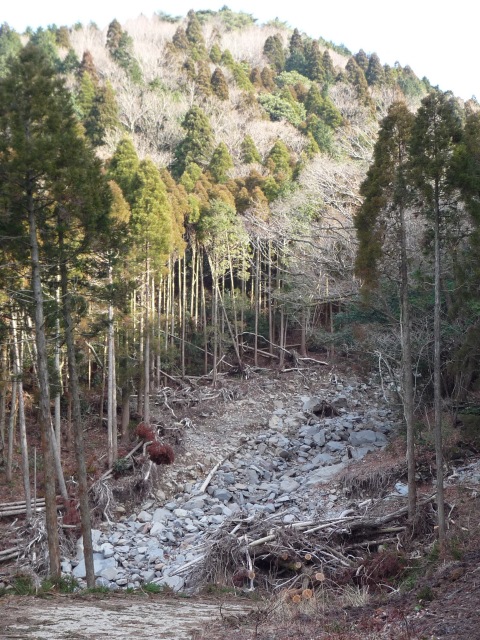 鞍岳登山_b0025101_235458.jpg