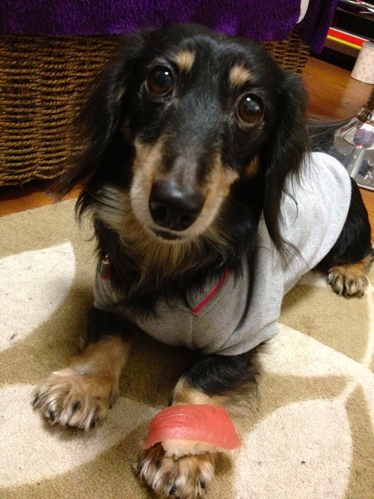 e0007801_8371389.jpg