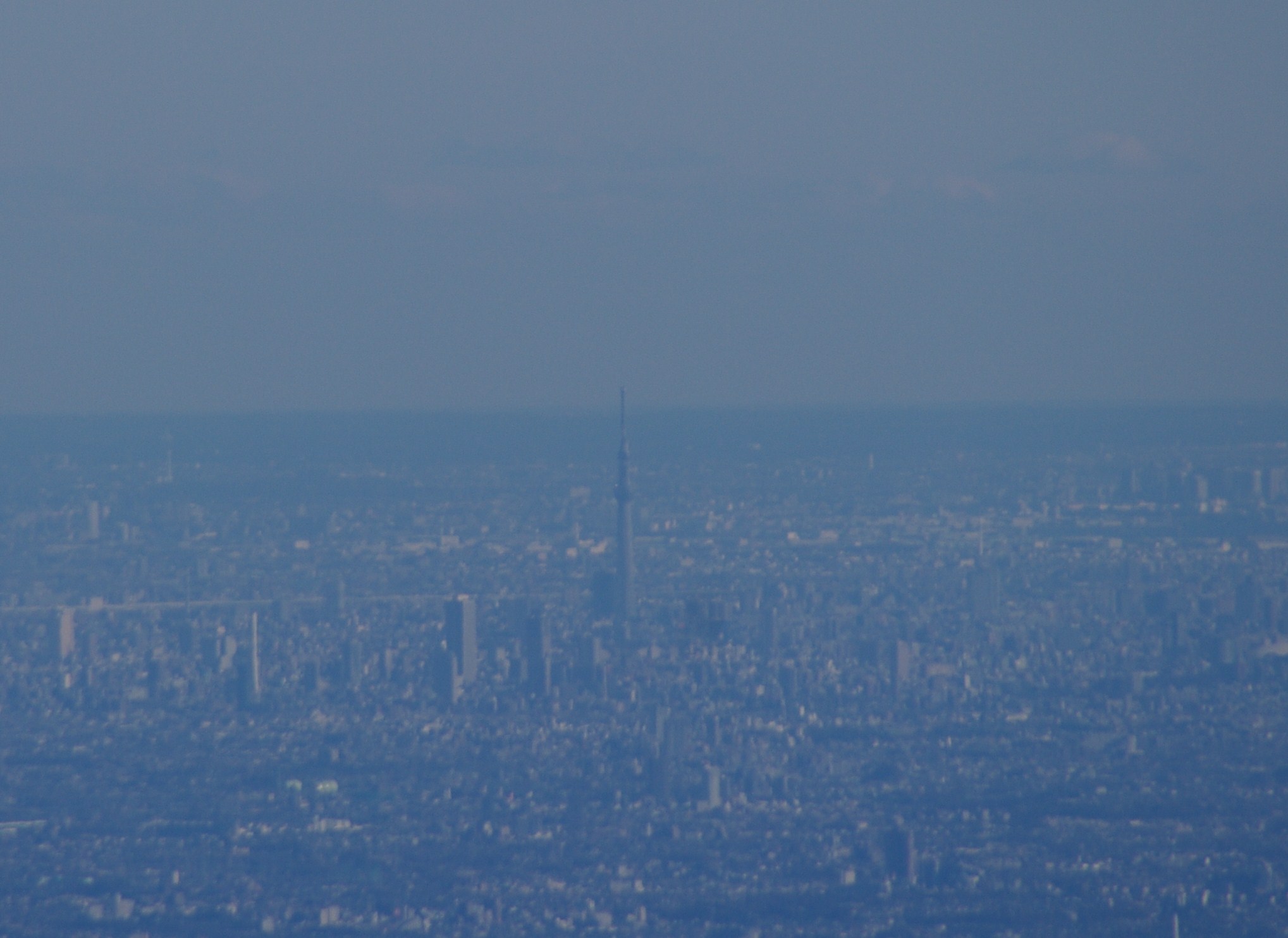 a0158802_22314587.jpg