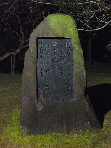f0120102_8425090.jpg