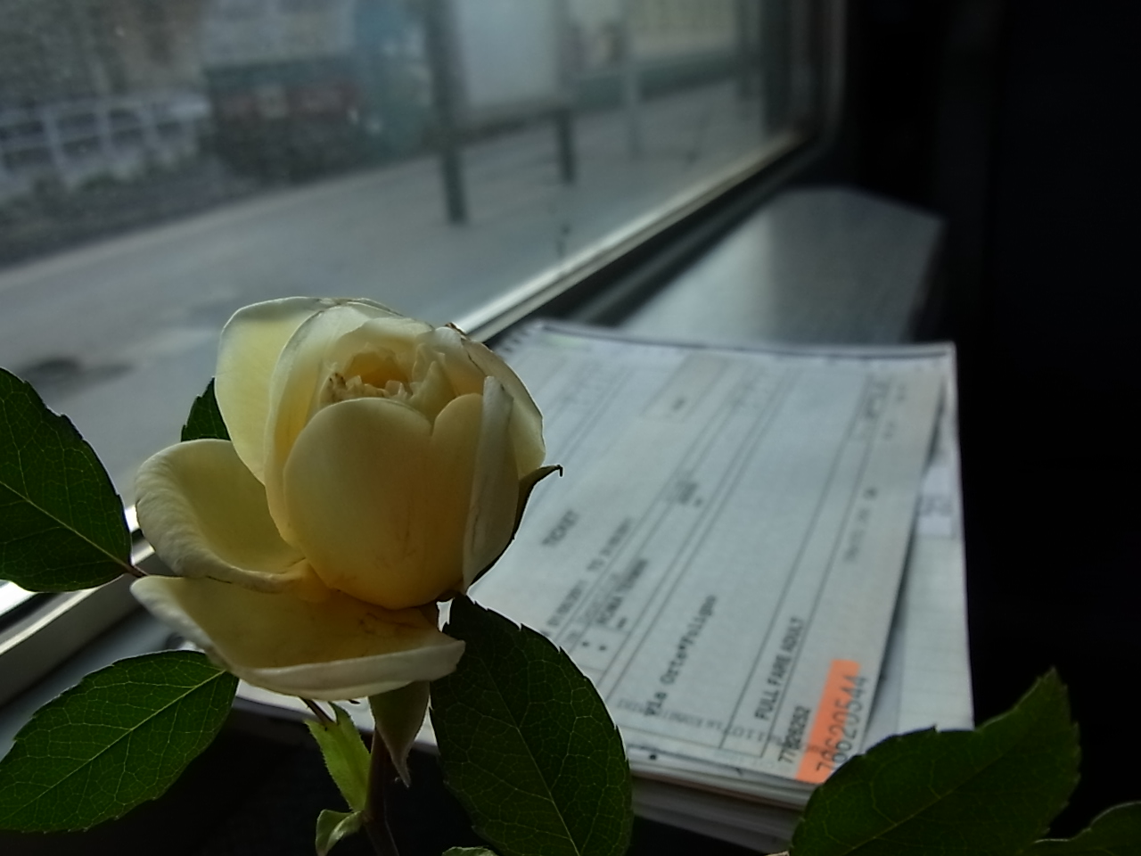 c0006904_20204469.jpg