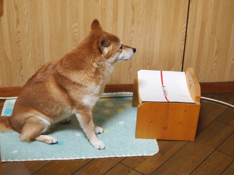 e0131506_1134278.jpg