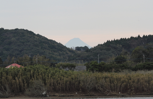 d0230507_16245449.jpg