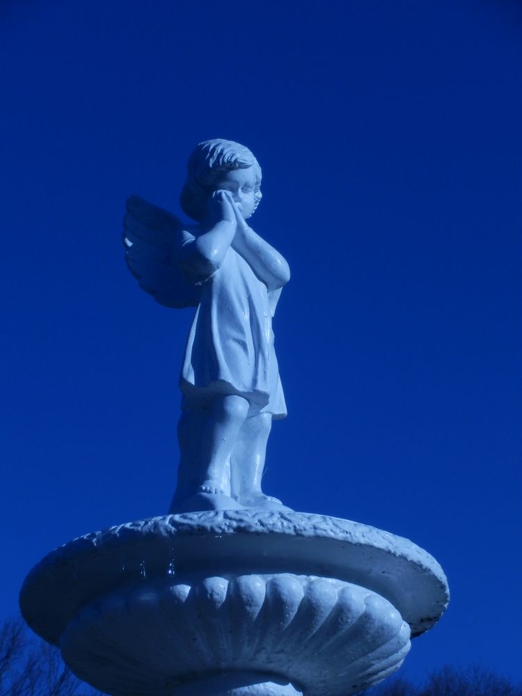 c0062511_8351188.jpg