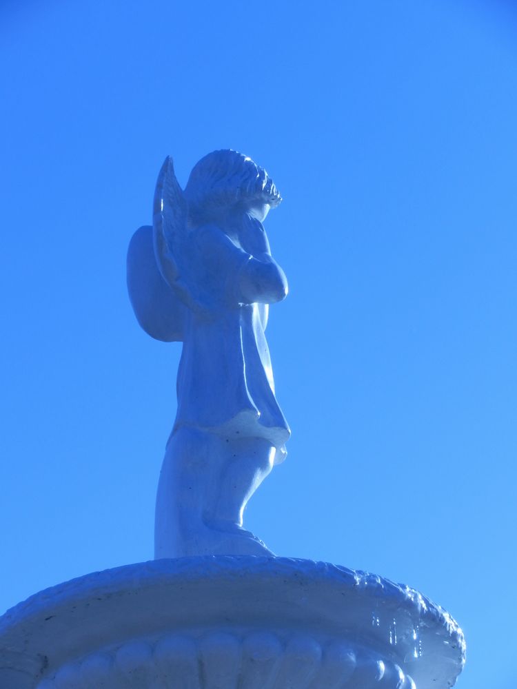 c0062511_8352668.jpg
