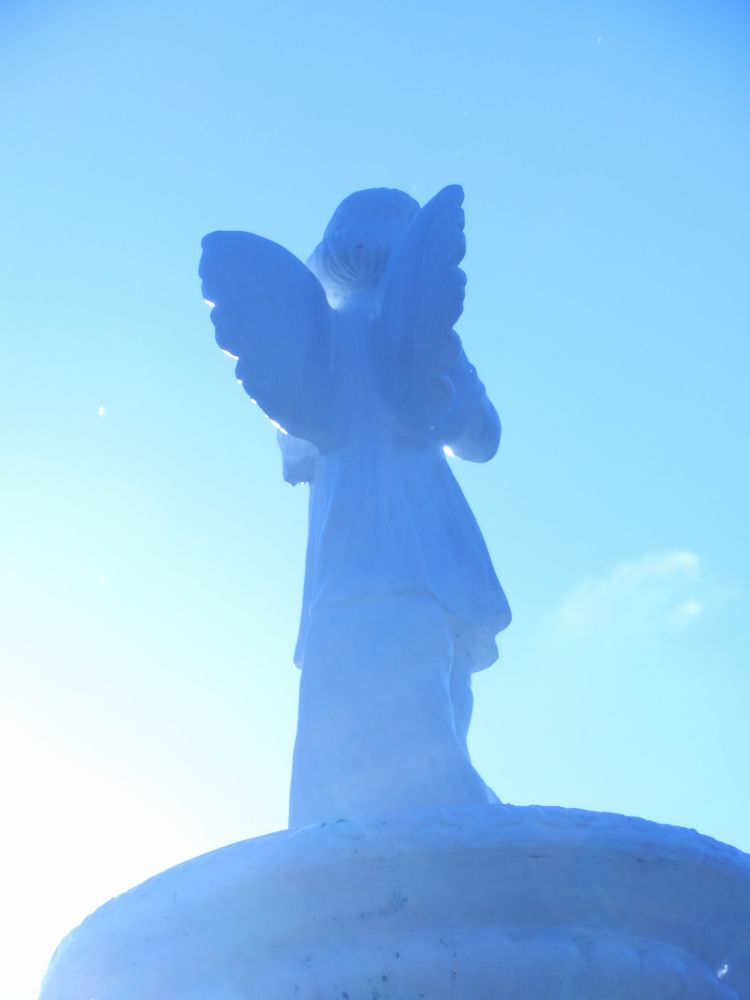 c0062511_8353810.jpg