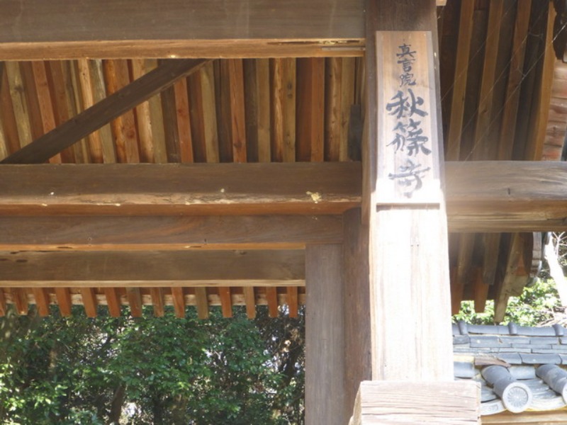 b0174217_2042043.jpg