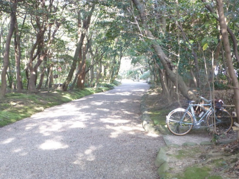 b0174217_20441610.jpg