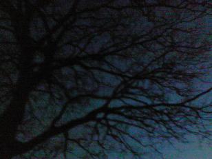 c0097620_22353476.jpg