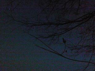 c0097620_22354395.jpg