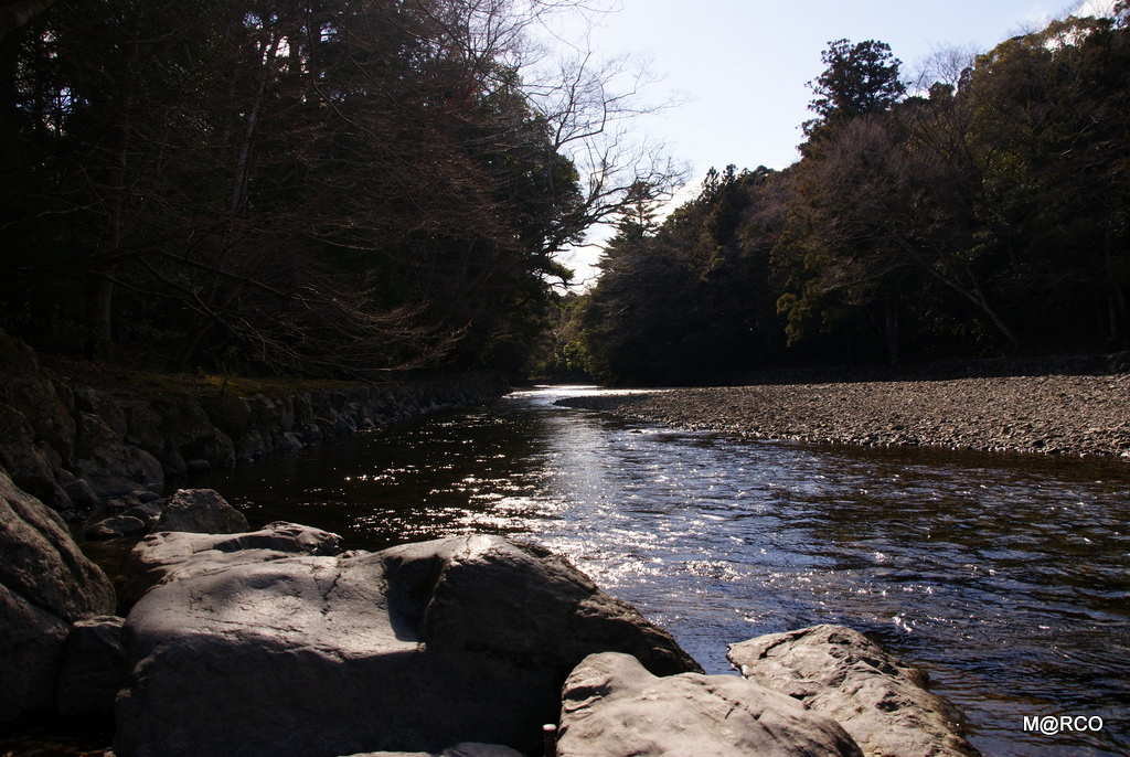 a0240721_20482039.jpg