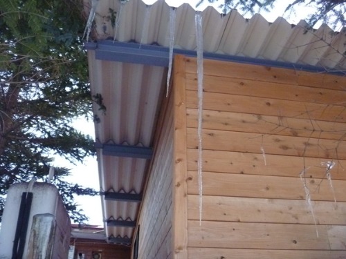 b0174425_1833269.jpg