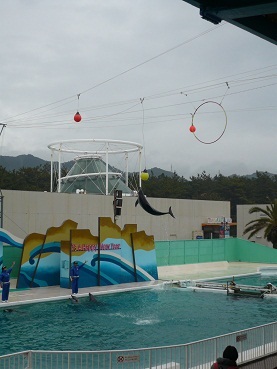 c0226331_10442441.jpg