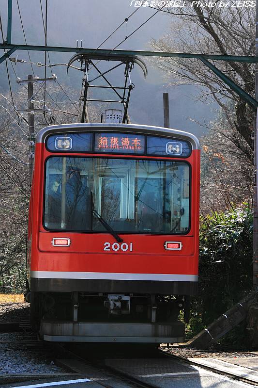 a0195032_1603492.jpg