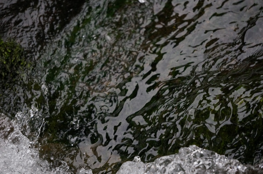 SONY α NEX-6 #2_b0060239_1648164.jpg