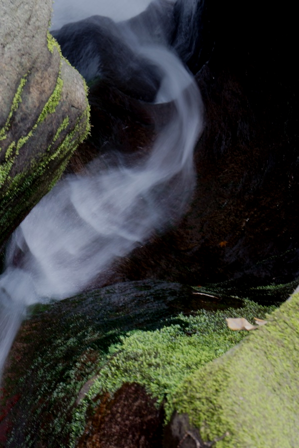 SONY α NEX-6 #2_b0060239_16501058.jpg