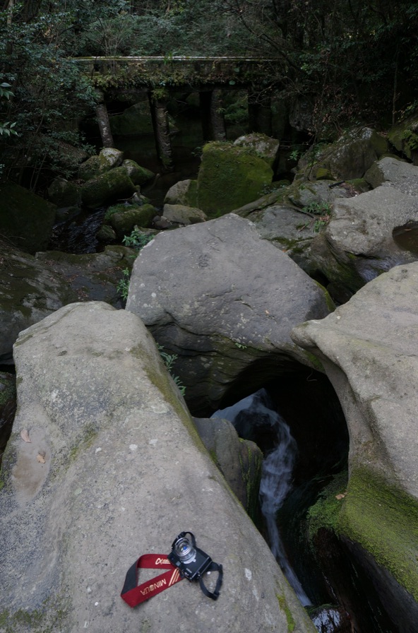 SONY α NEX-6 #2_b0060239_16504237.jpg