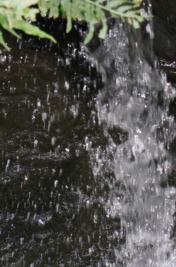 SONY α NEX-6 #2_b0060239_16511146.jpg