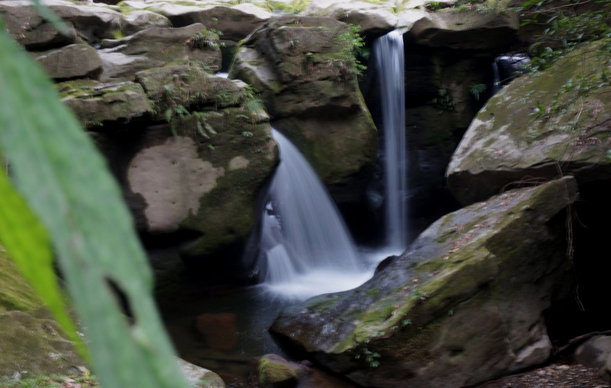 SONY α NEX-6 #2_b0060239_1652599.jpg