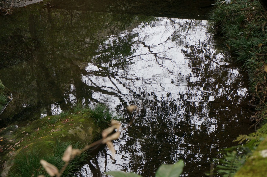 SONY α NEX-6 #2_b0060239_171297.jpg